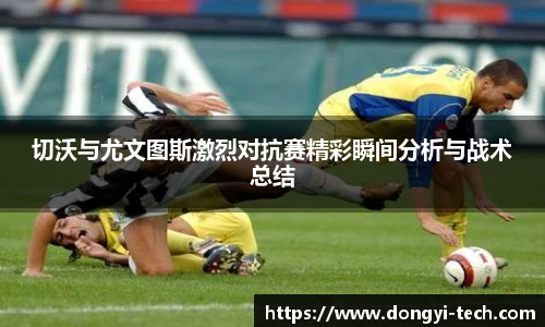 333体育官网